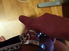 beta male sexless chastity