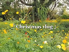 Christmas vlog, beautiful girl big boobs in thailand mountain & fucking in forest