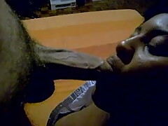 Tuga Mulata Gulosa